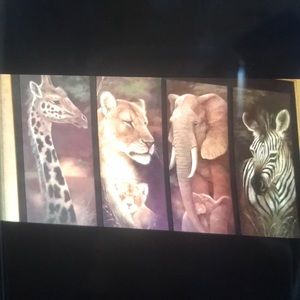 Meet your Posher, Shersherita